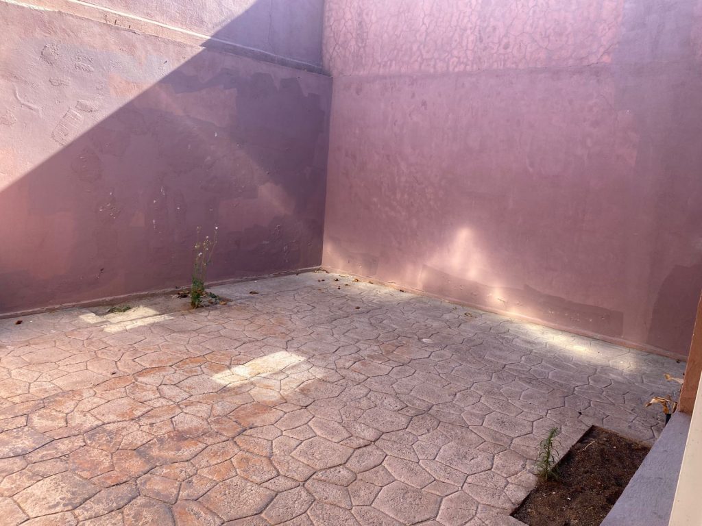 WhatsApp Image 2025-06-19 at 4.31.30 PM